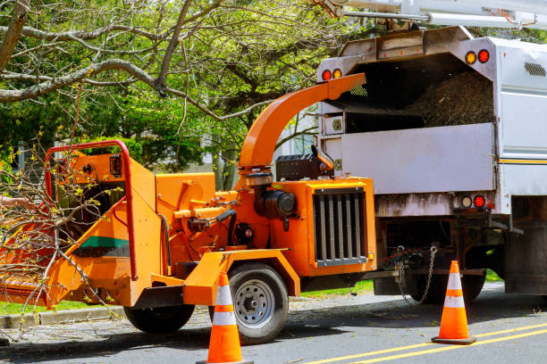 Best Tree Disease Treatment  in Central, SC