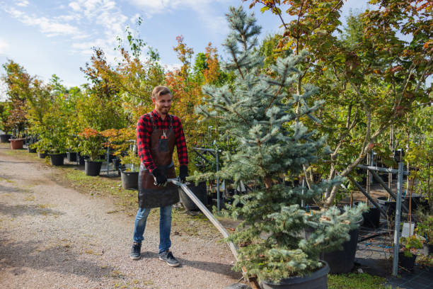 Best Fruit Tree Pruning  in Central, SC